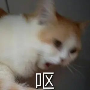 DƬ